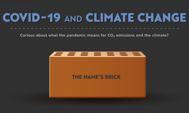 COVID-19 and Climate Change: The name?s ?Brick?